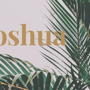 Joshua – Week 16