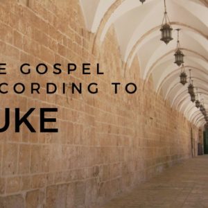Luke – Week 39