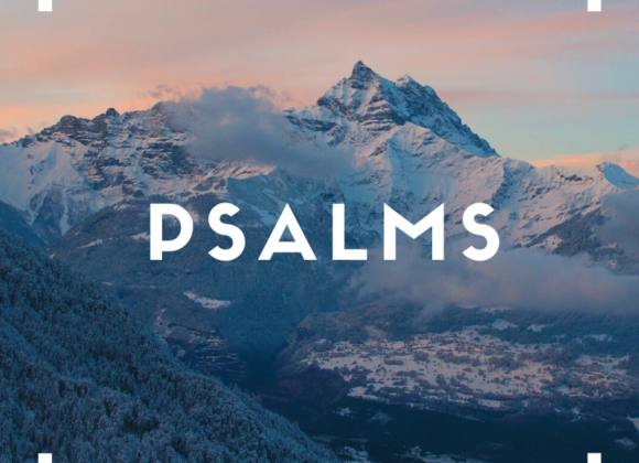 Psalm 92 – Looking Back